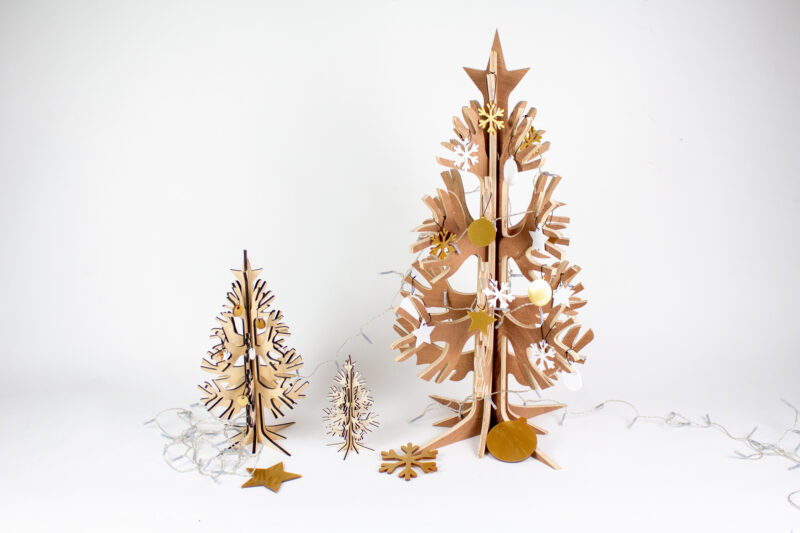 Conscious Conifer Mini - Image 3