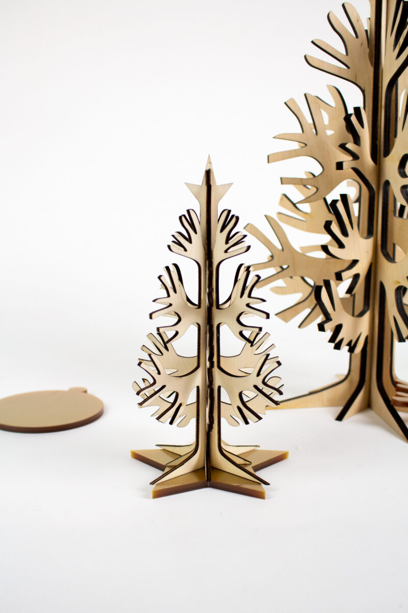 Conscious Conifer Mini - Image 2