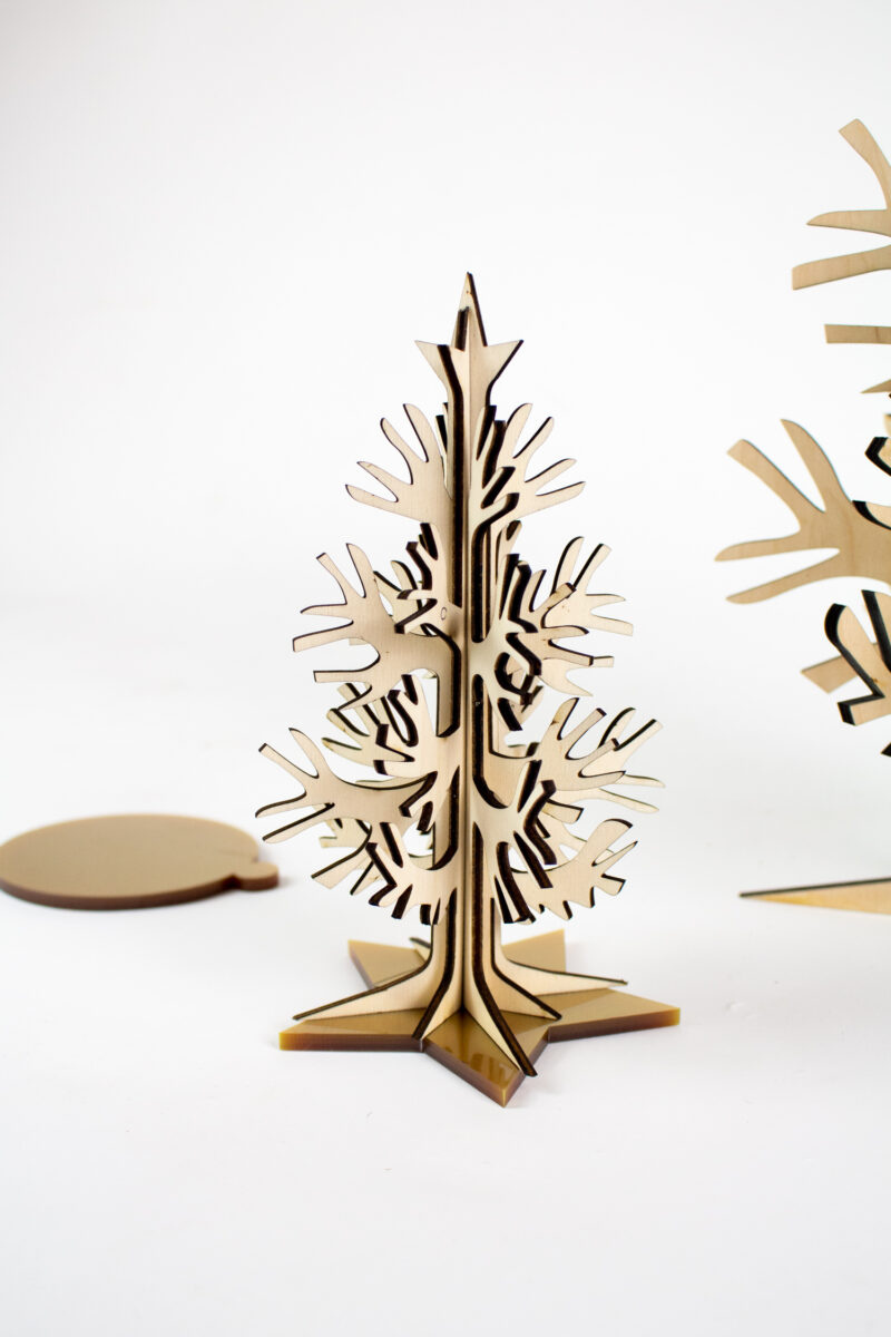 Conscious Conifer Mini