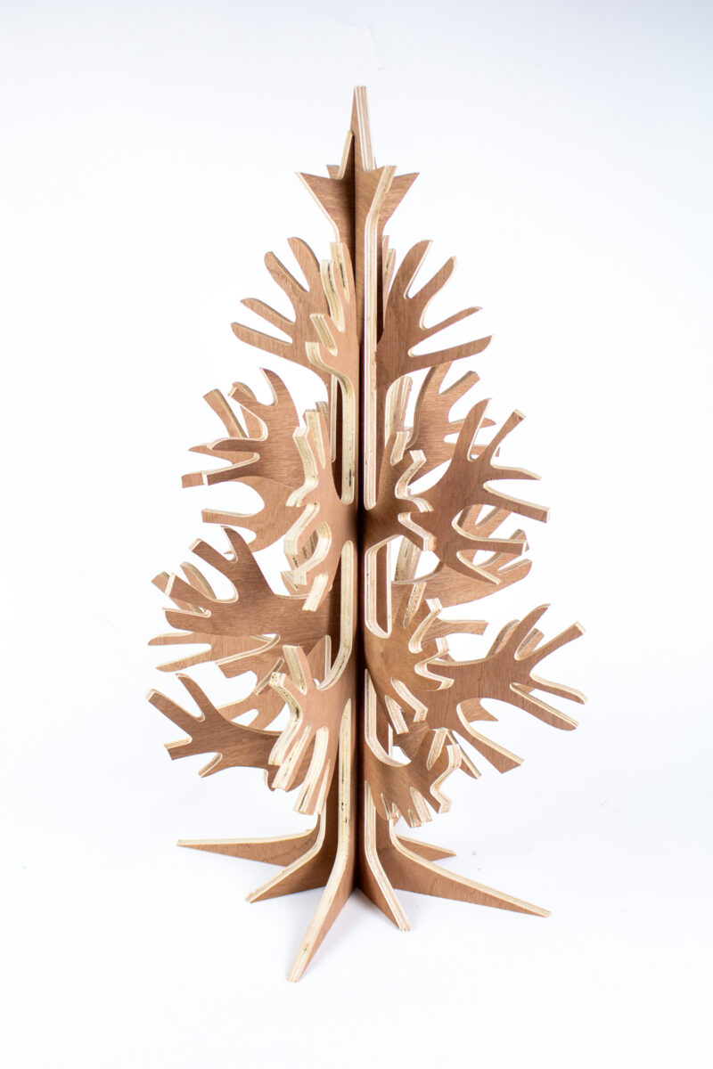 Conscious Conifer Maxi