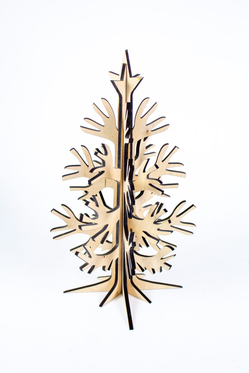 Conscious Conifer Midi - Image 2